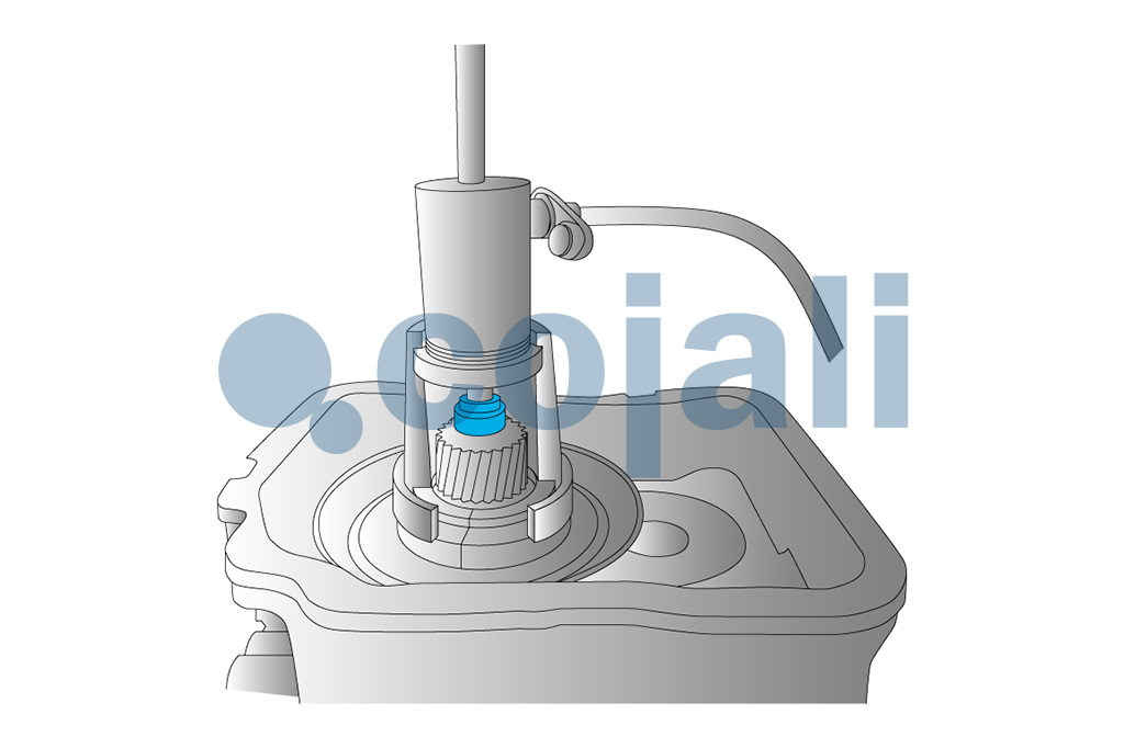 50105125 | 9996917 | BOLT TO DISASSEMBLE/ASSEMBLE THE GEARBOX 
