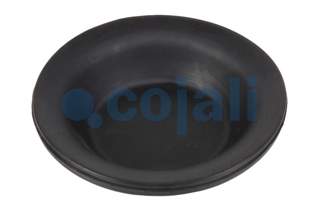 09” TİP DİYAFRAM NORMAL STROK, 6001100, 8971204954