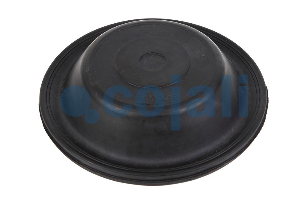 09” TİP DİYAFRAM NORMAL STROK, 6001100, 8971204954