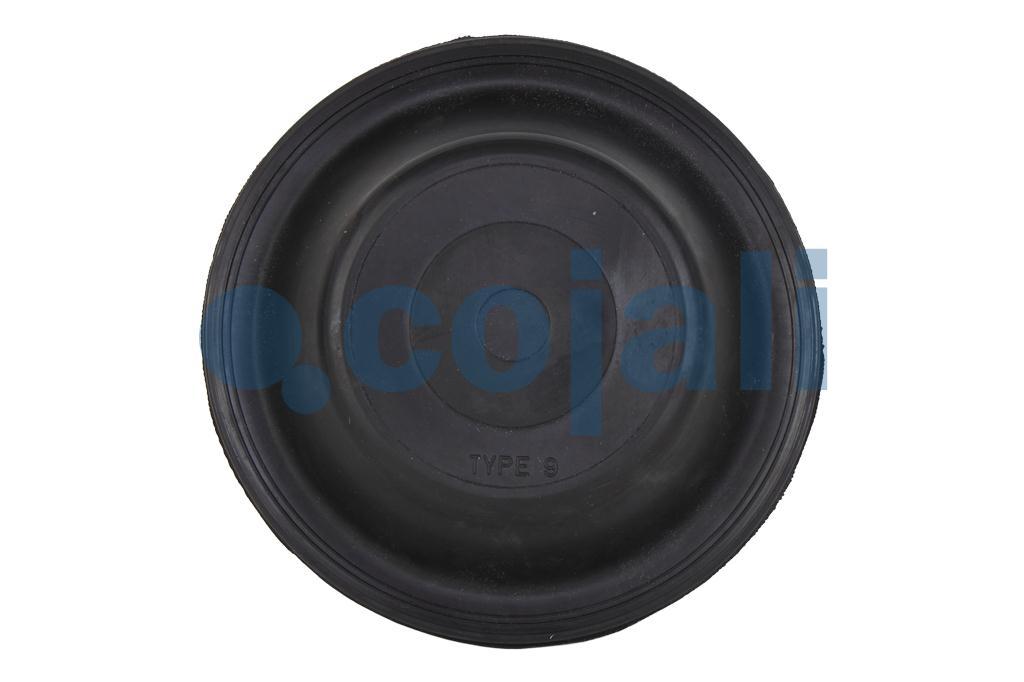 09" DIAPHRAGM NORMAL STROKE, 6001100, 8971204954