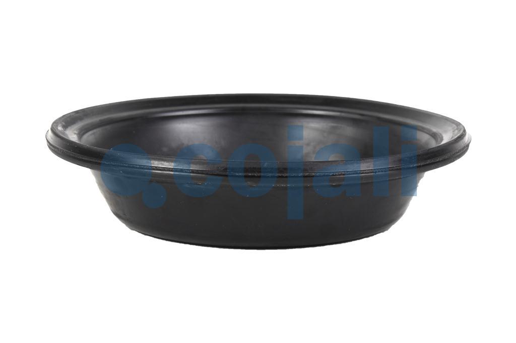 6001115 | 8971205254 | 20 