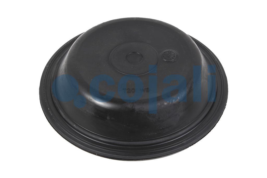 6001115 | 8971205254 | 20 