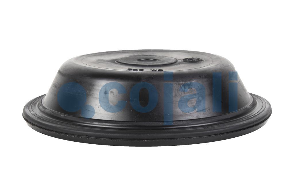 6001115 | 8971205254 | 20 