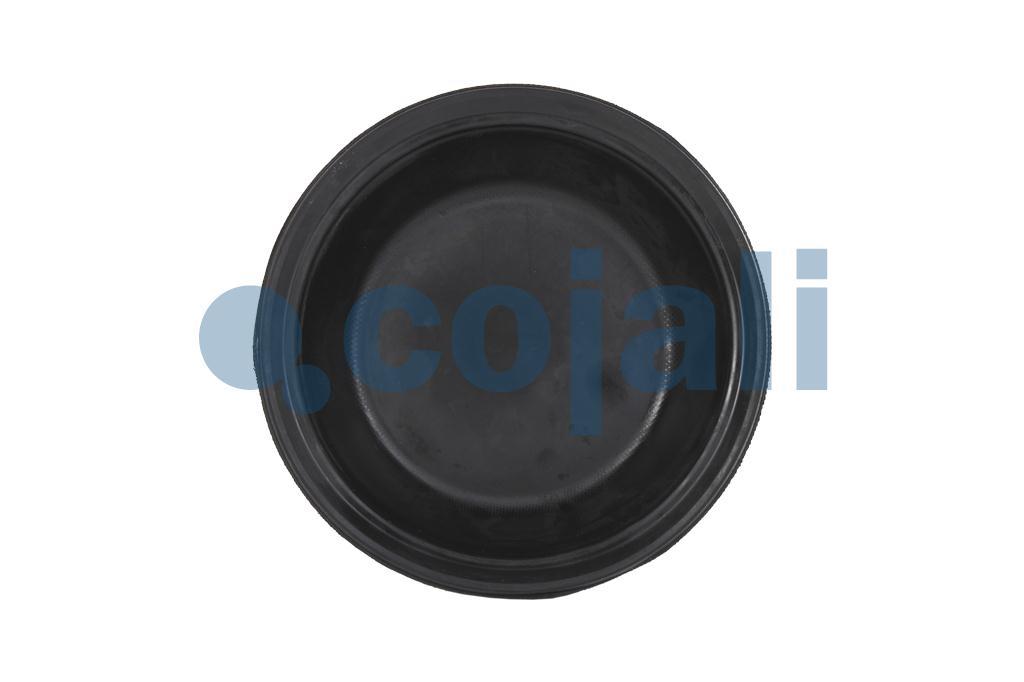 6001115 | 8971205254 | 20 