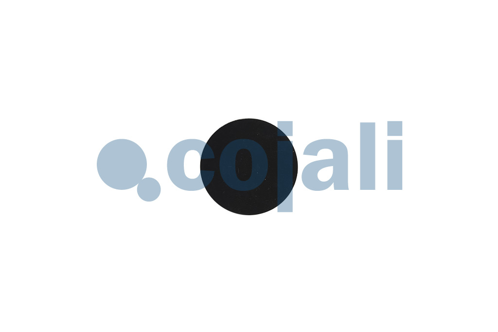 6002242 | 8971307944 | DIAPHRAGM - Cojali Parts