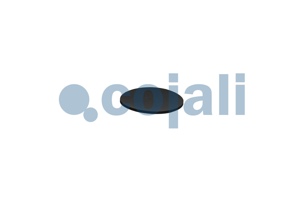 6002242 | 8971307944 | DIAPHRAGM - Cojali Parts