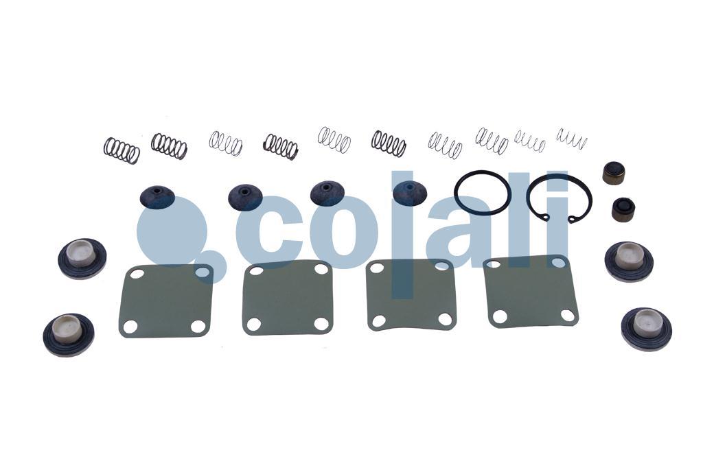 6012002 | 9347020002 | VALVE REPAIR KIT - Cojali Parts