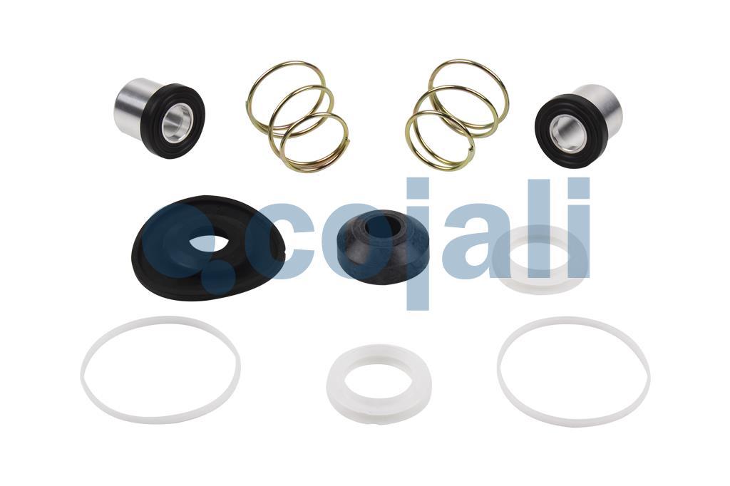 6012011 | 4613190022 | VALVE REPAIR KIT - Cojali Parts