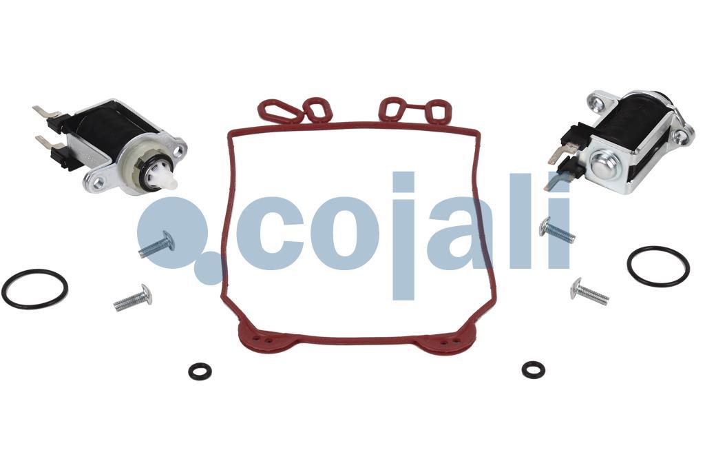 6012047 | 9325109522 | VALVE REPAIR KIT - Cojali Parts 