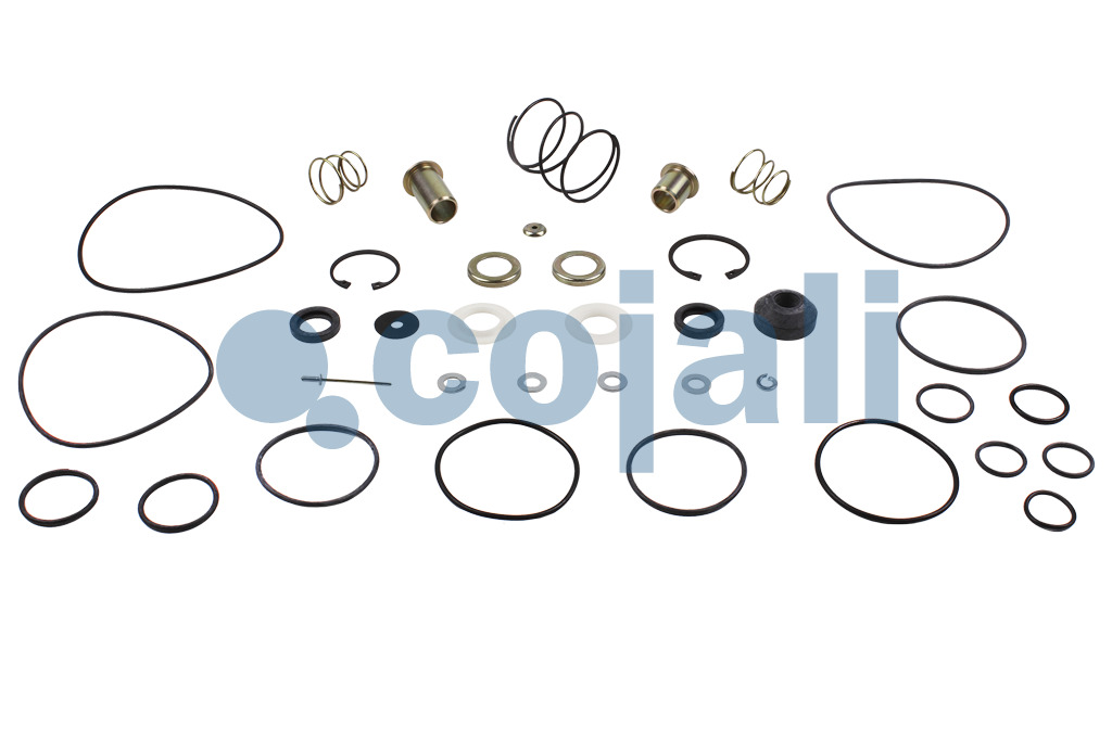 6012063 4613070022 VALVE REPAIR KIT Cojali Parts