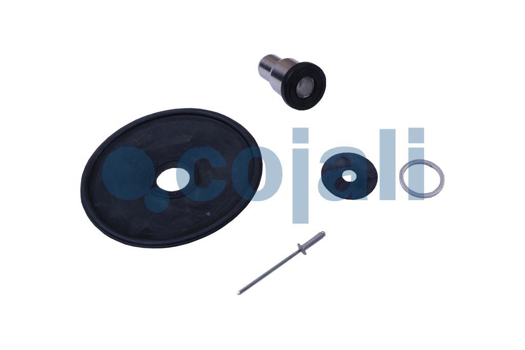 6012153 9730020032*X VALVE REPAIR KIT Cojali Parts