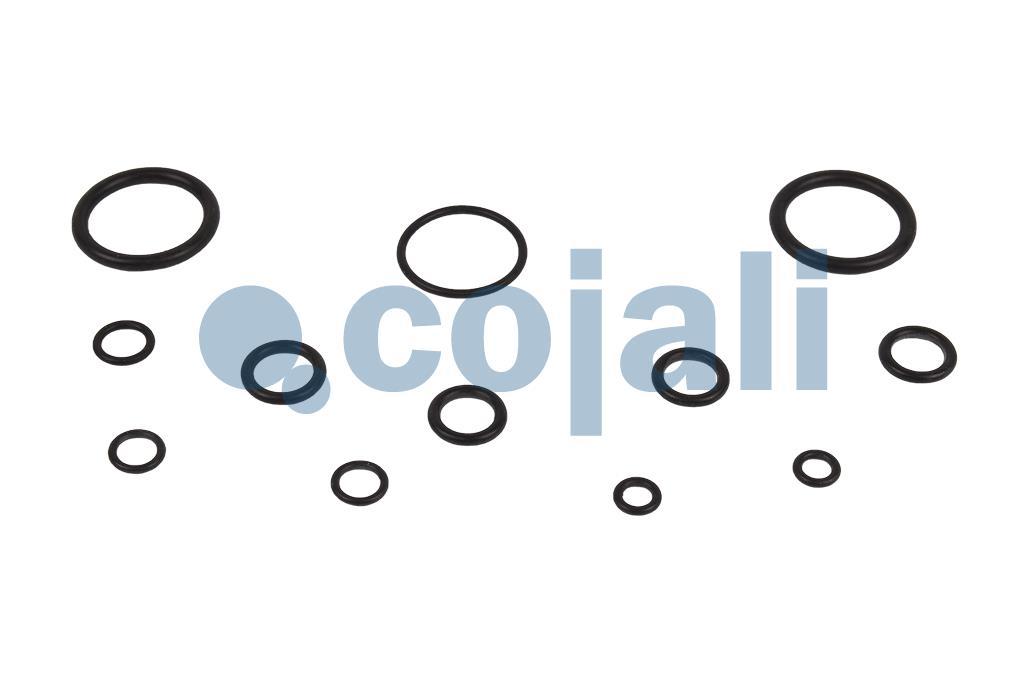 6012154 9617220042 VALVE REPAIR KIT Cojali Parts