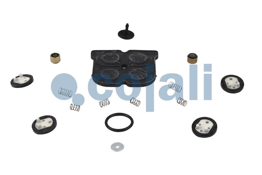 6012170 | 9347149222 | VALVE REPAIR KIT - Cojali Parts