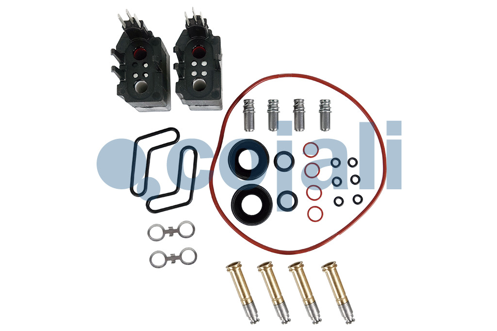 6012186 | 4801049212 | VALVE REPAIR KIT - Cojali Parts