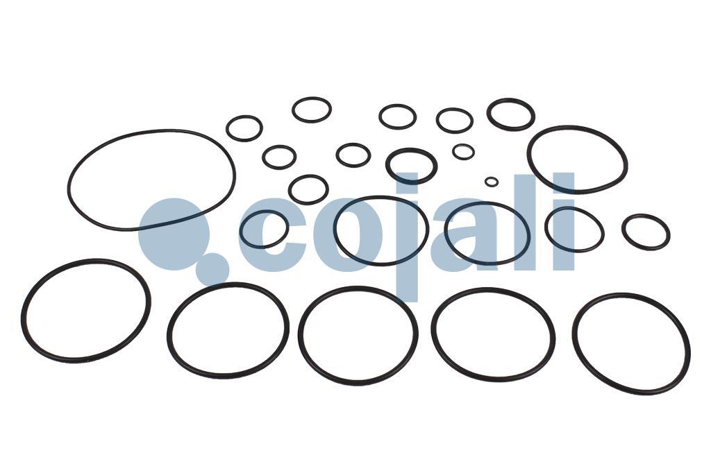 6012239 9730080012 VALVE REPAIR KIT Cojali Parts