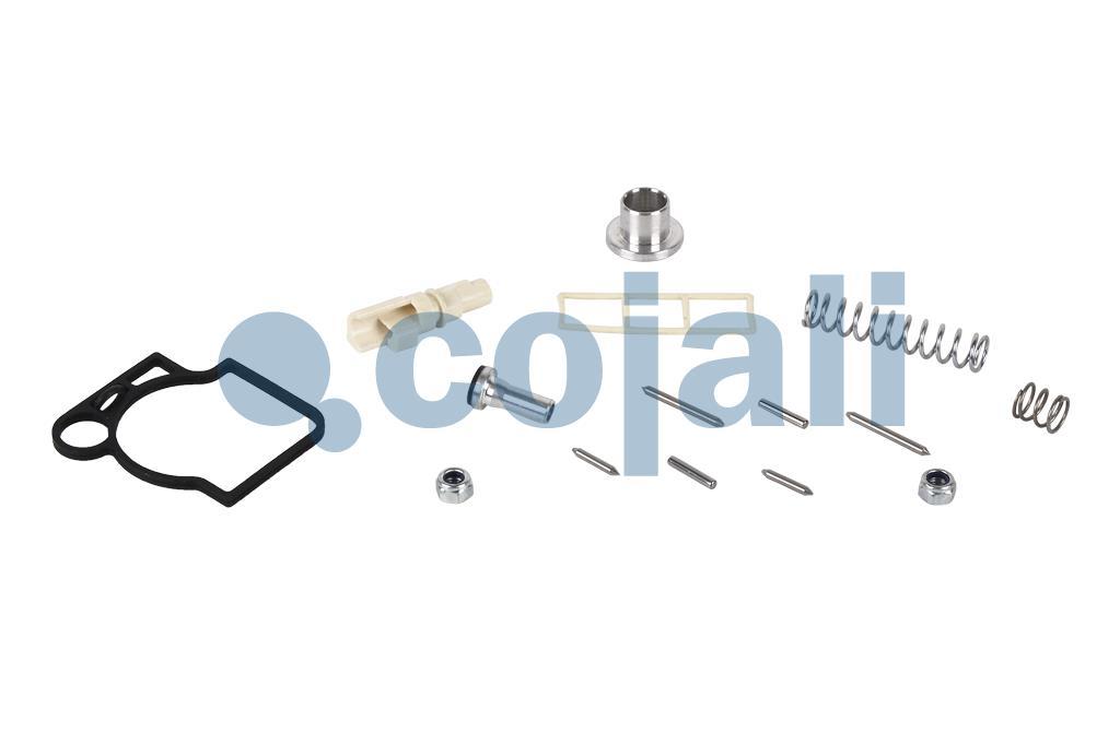 6012241 | 9617230002 | VALVE REPAIR KIT - Cojali Parts
