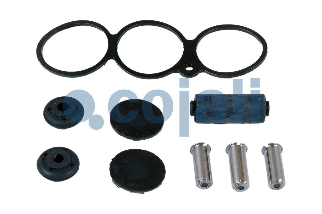 6012276 4729009032 VALVE REPAIR KIT Cojali Parts