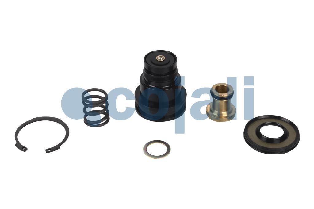 6012290 | 9325109532 | VALVE REPAIR KIT - Cojali Parts 