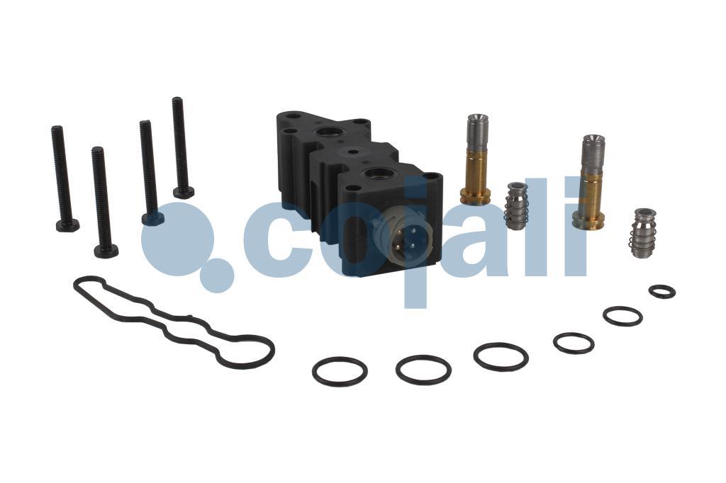 6012291 | 4324259202 | VALVE REPAIR KIT - Cojali Parts