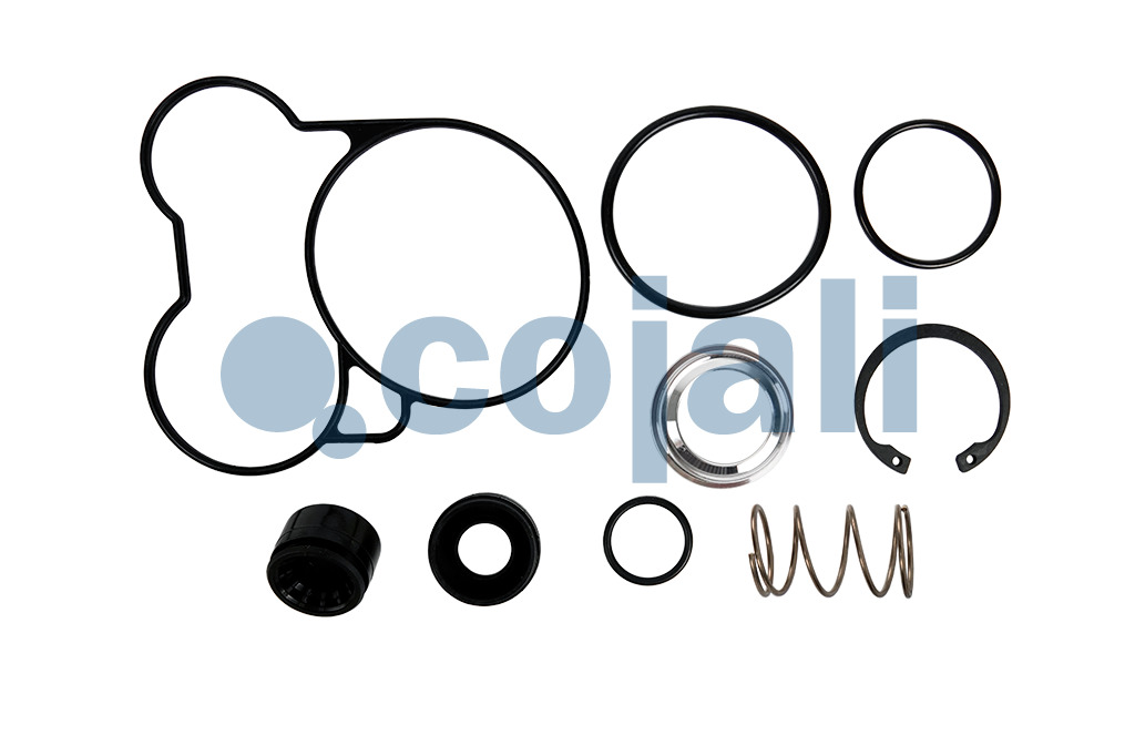 6012354 4802029212*X VALVE REPAIR KIT Cojali Parts