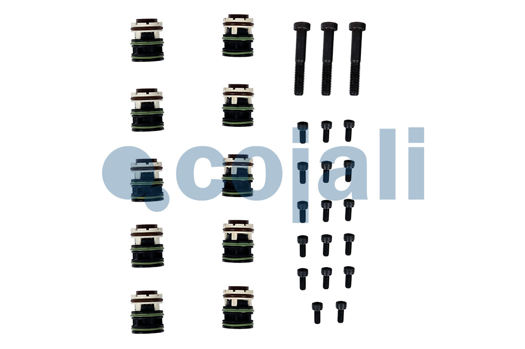 6012406 4213559512 GEARBOX REPAIR KIT Cojali Parts