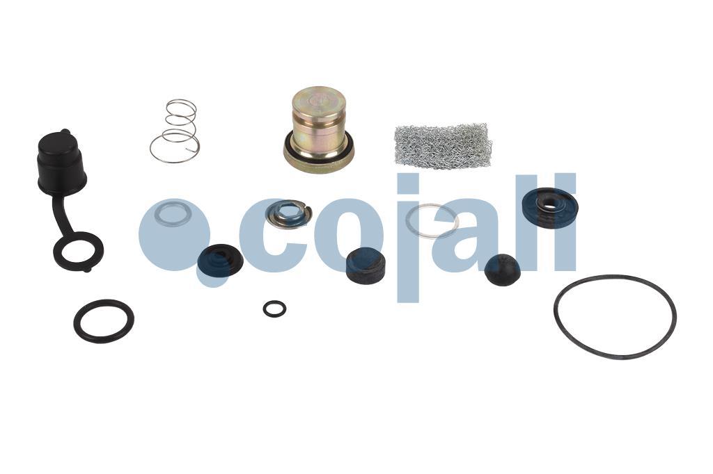 6014019 | 1487010165 | VALVE REPAIR KIT - Cojali Parts