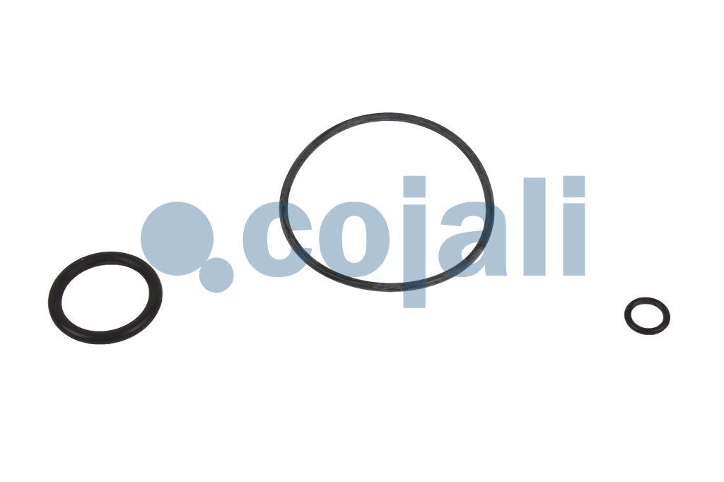 6014019 | 1487010165 | VALVE REPAIR KIT - Cojali Parts