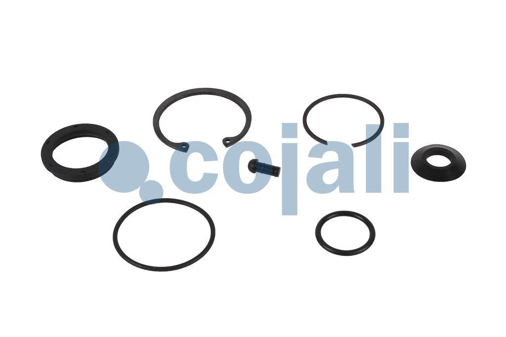 6014036 | 1487010221 | VALVE REPAIR KIT - Cojali Parts 