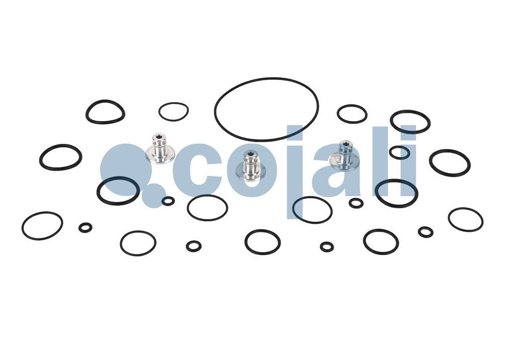 6014041 | 1507010015 | VALVE REPAIR KIT - Cojali Parts 