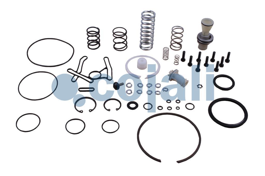 6014110 II37677008 VALVE REPAIR KIT Cojali Parts