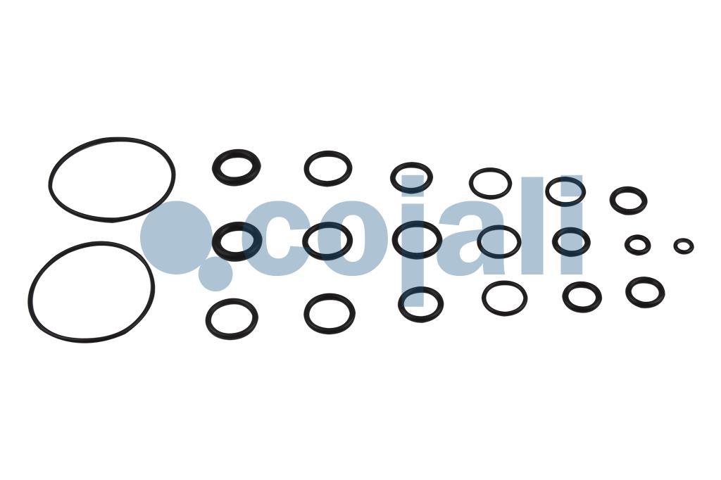 6014116 | NO OEM | Р/К ПНЕВМАТИЧЕСКОГО КРАНА - Cojali Parts