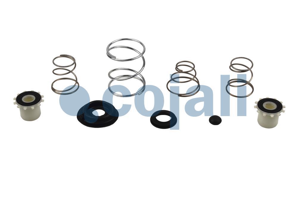 6014135 | I99719008 | VALVE REPAIR KIT - Cojali Parts