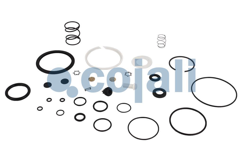 6014171 NO OEM VALVE REPAIR KIT Cojali Parts