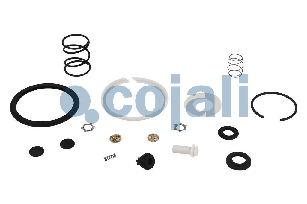 6014171 NO OEM VALVE REPAIR KIT Cojali Parts