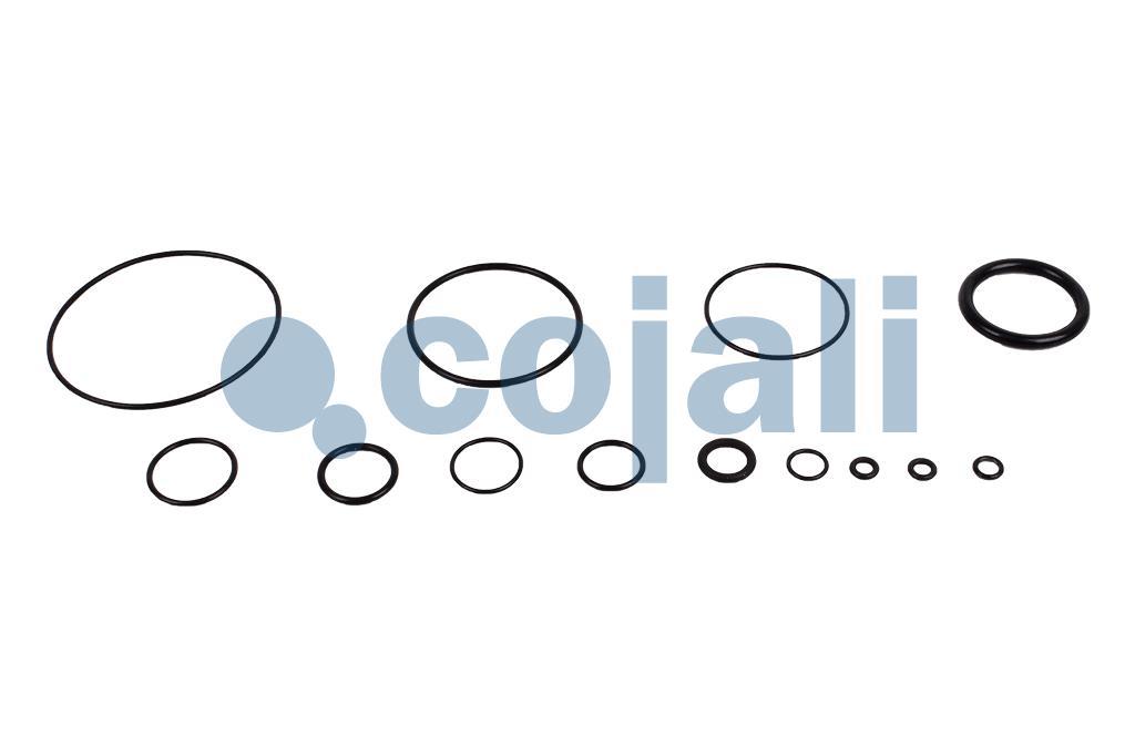 6014171 NO OEM VALVE REPAIR KIT Cojali Parts