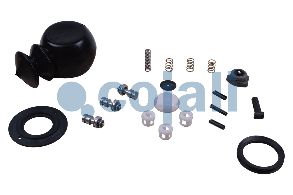 KIT RIMOZIONE VALVOLA EGR 300 tdi - Raptor 4x4