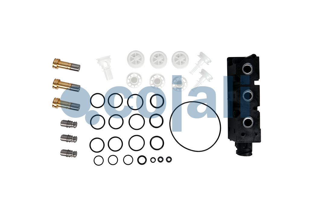 6014251 | 1507010024000 | VALVE REPAIR KIT - Cojali Parts