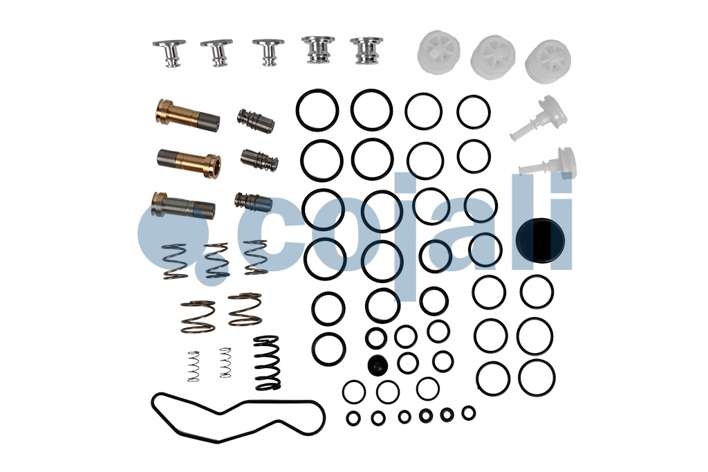 6014256 NO OEM VALVE REPAIR KIT Cojali Parts
