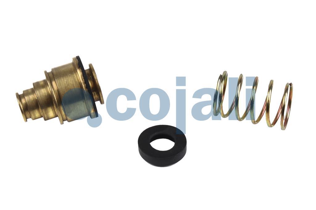 6014417 | 076647802000 | VALVE REPAIR KIT - Cojali Parts