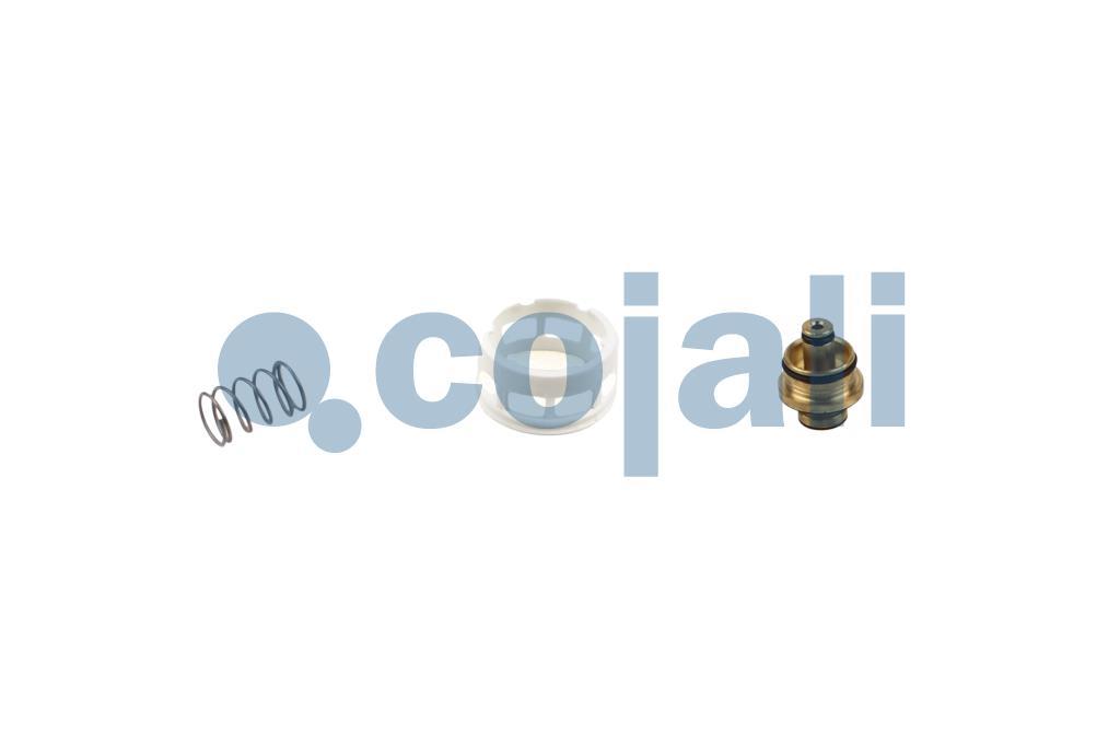 6014463 | 076645704000 | VALVE REPAIR KIT - Cojali Parts