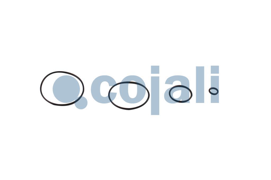 6014463 | 076645704000 | VENTIL-REPARATURKIT - Cojali Parts