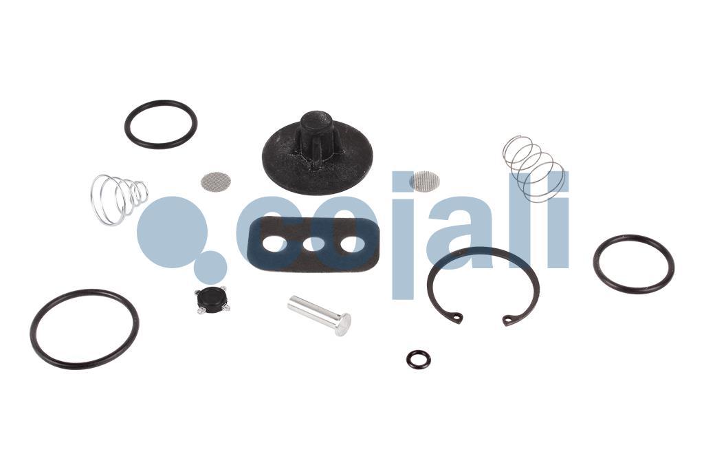 6014600 SK2612/1 VALVE REPAIR KIT Cojali Parts