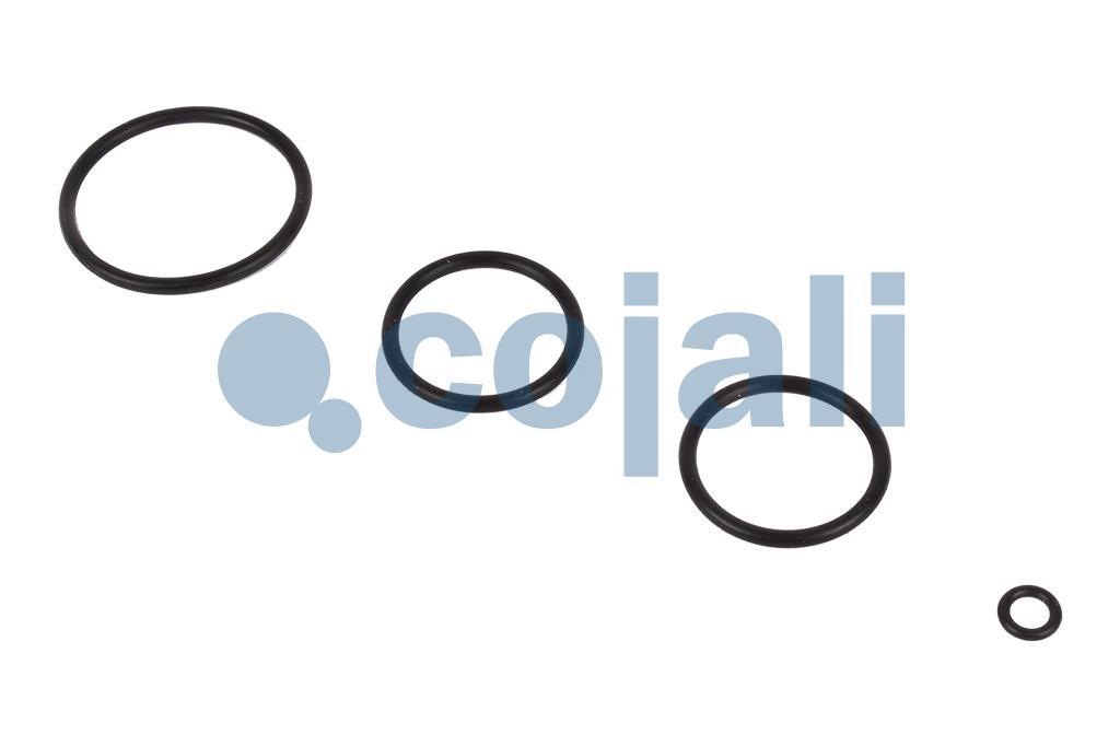 6014600 SK2612/1 VALVE REPAIR KIT Cojali Parts