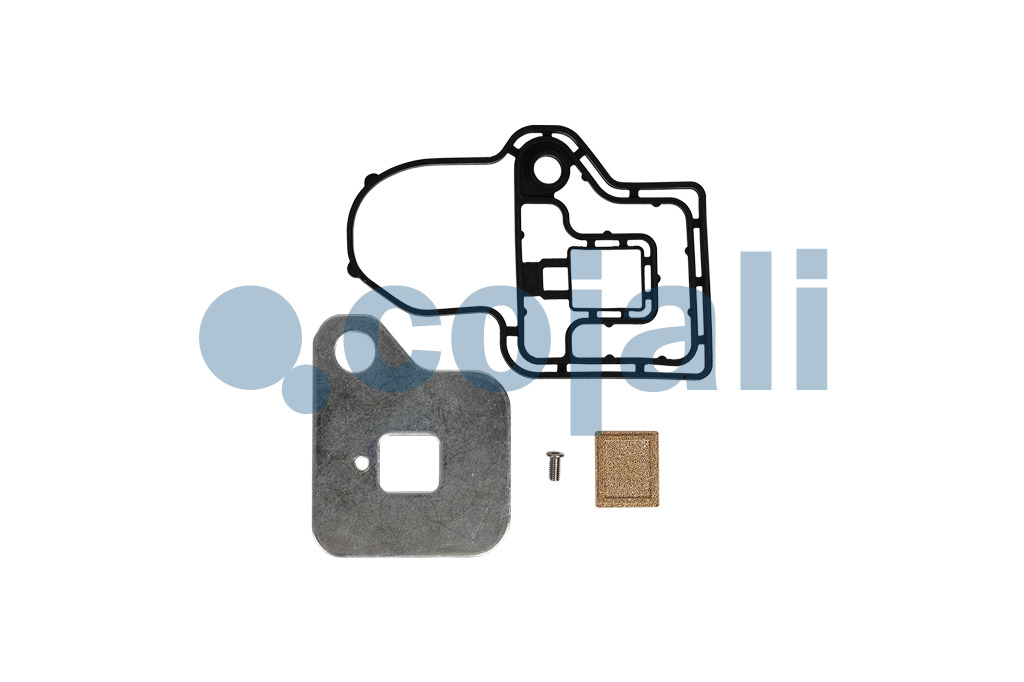 6019514 20739643 GEARBOX REPAIR KIT Cojali Parts