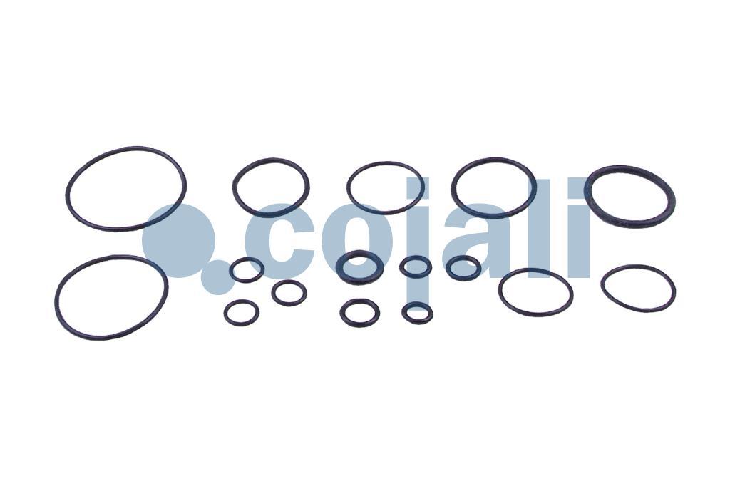 6032106 | 9700519112 | CLUTCH SERVO REPAIR KIT - Cojali Parts
