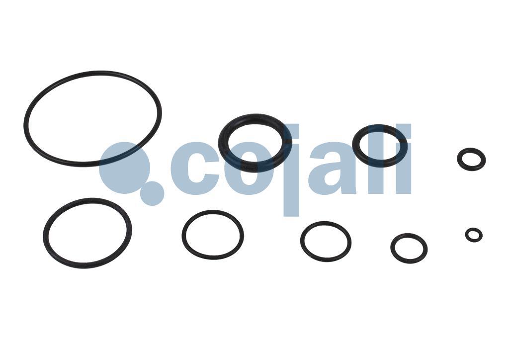 6032113 | 9700519432 | CLUTCH SERVO REPAIR KIT - Cojali Parts 