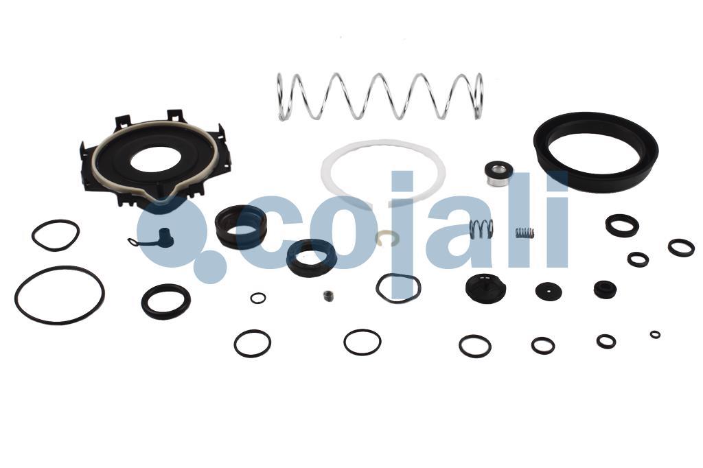 6032120 | 9700519842 | CLUTCH SERVO REPAIR KIT - Cojali Parts