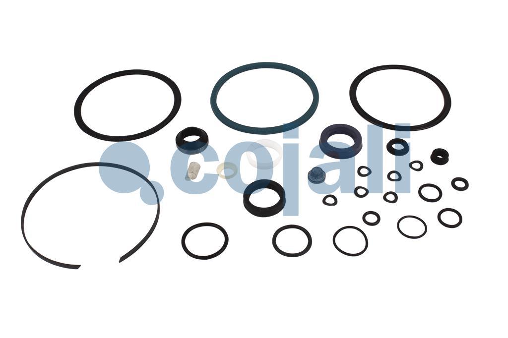6034021 | 622158AM | CLUTCH SERVO REPAIR KIT - Cojali Parts
