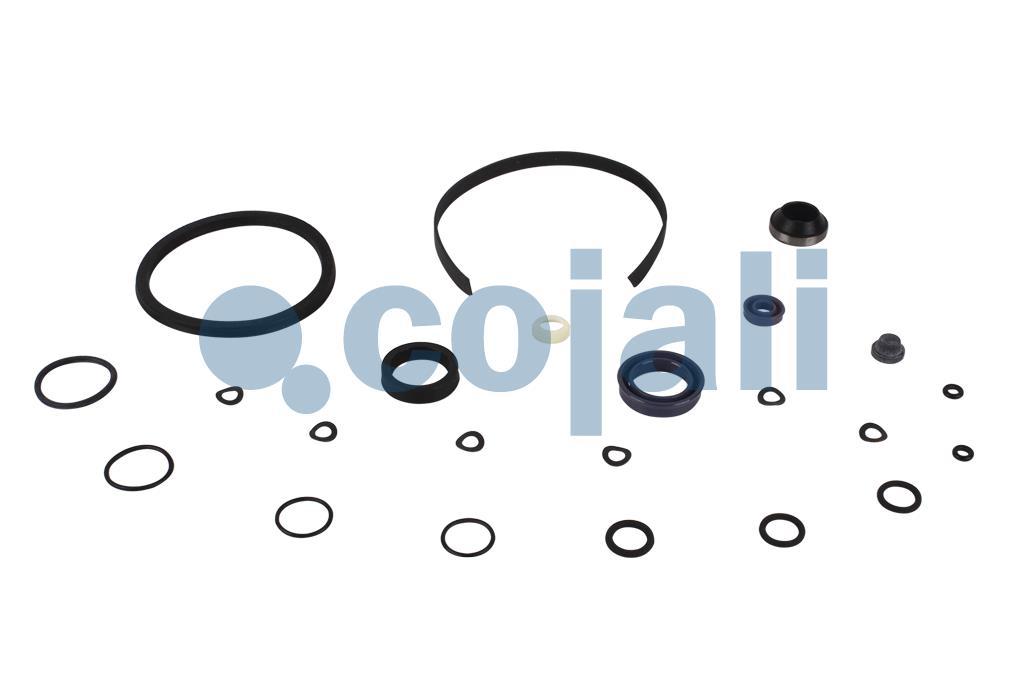 6034023 | 622095AM | CLUTCH SERVO REPAIR KIT - Cojali Parts