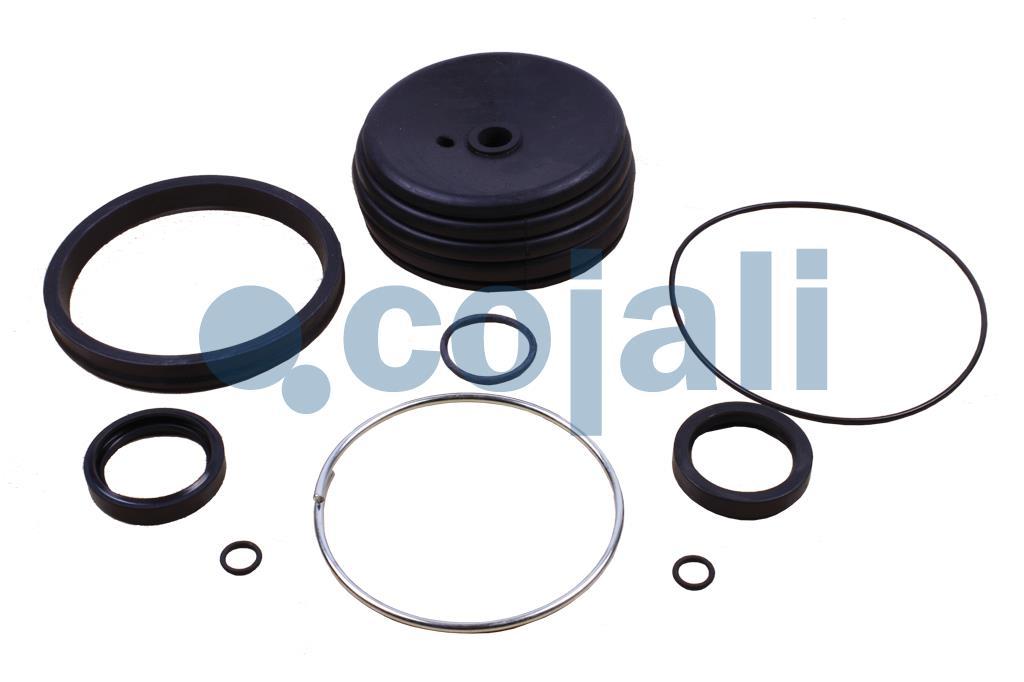 6034062 | 1423081 | CLUTCH SERVO REPAIR KIT - Cojali Parts
